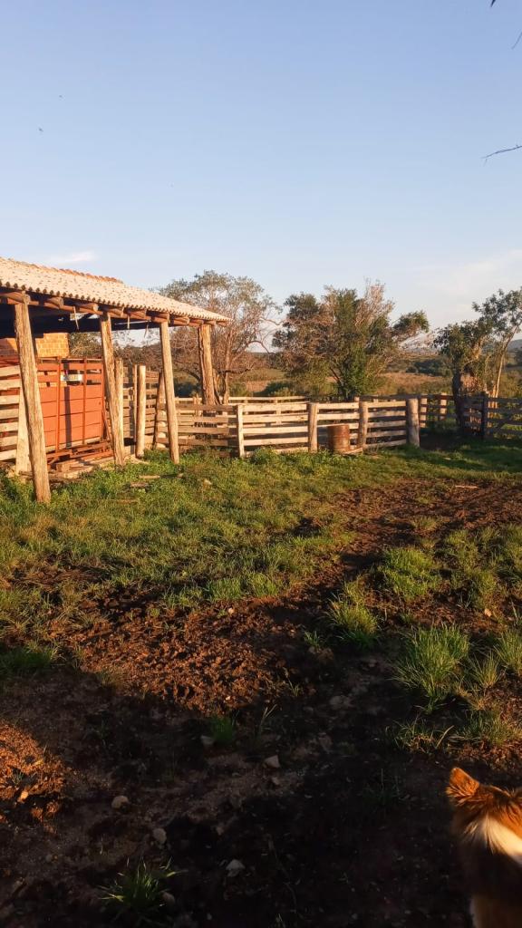 Ver mais detalhes de ÁREA DE TERRAS - ART1247802
