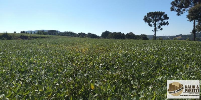 ÁREA DE TERRAS - ART860906