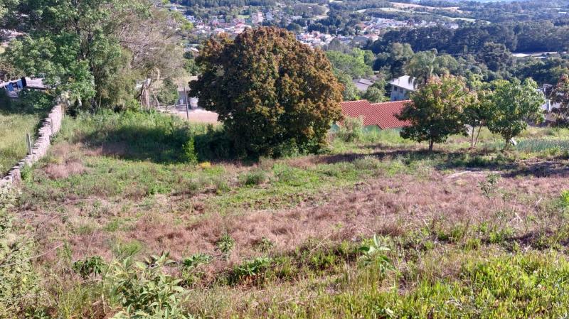 TERRENO - TER1175830