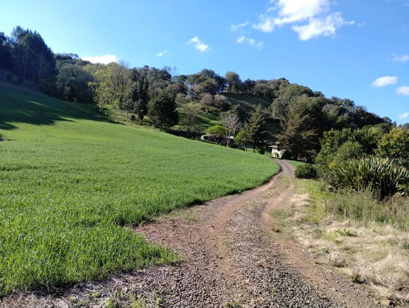ÁREA DE TERRAS - ART1244910