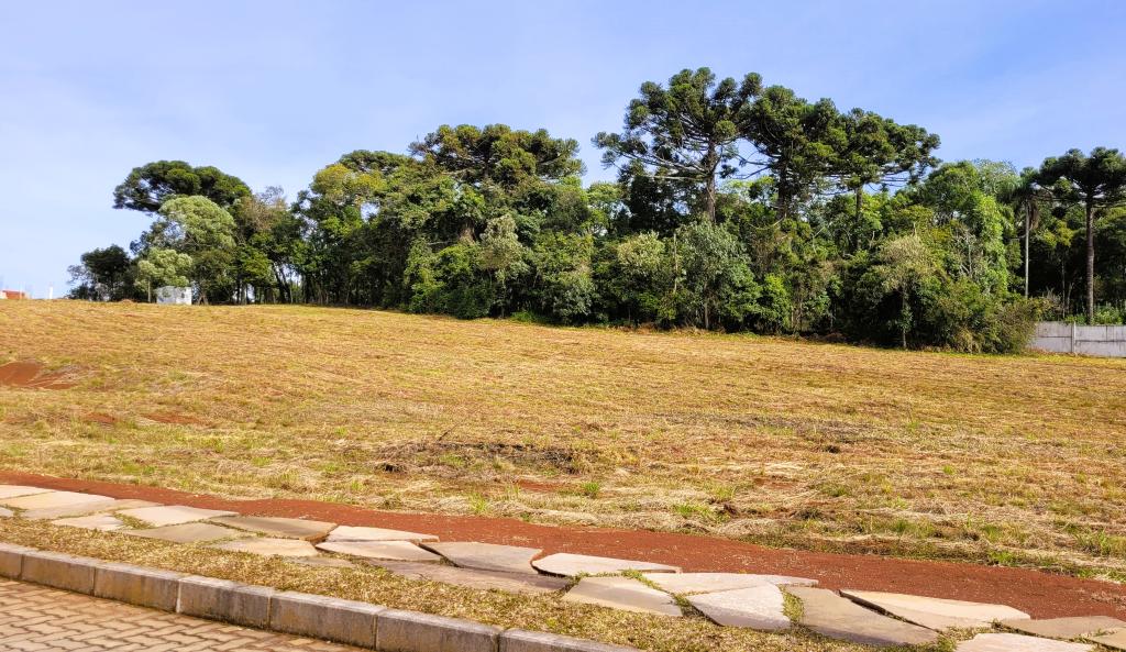 TERRENO EM CONDOMÍNIO - TEC1211956