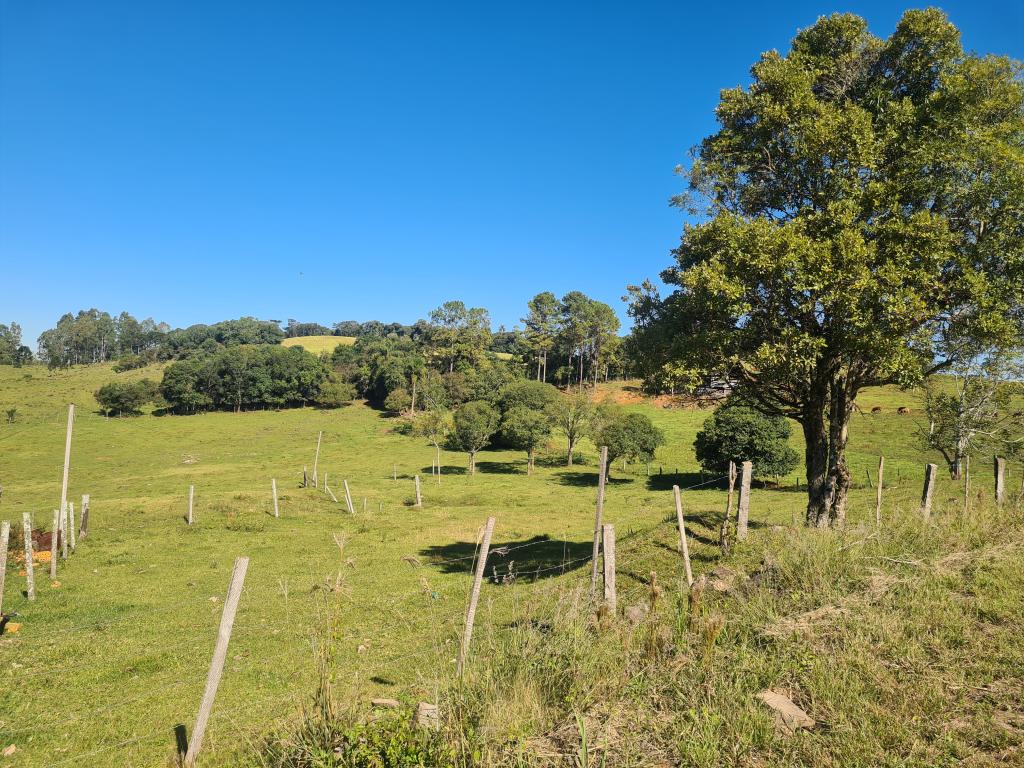 TERRENO - TER1220828