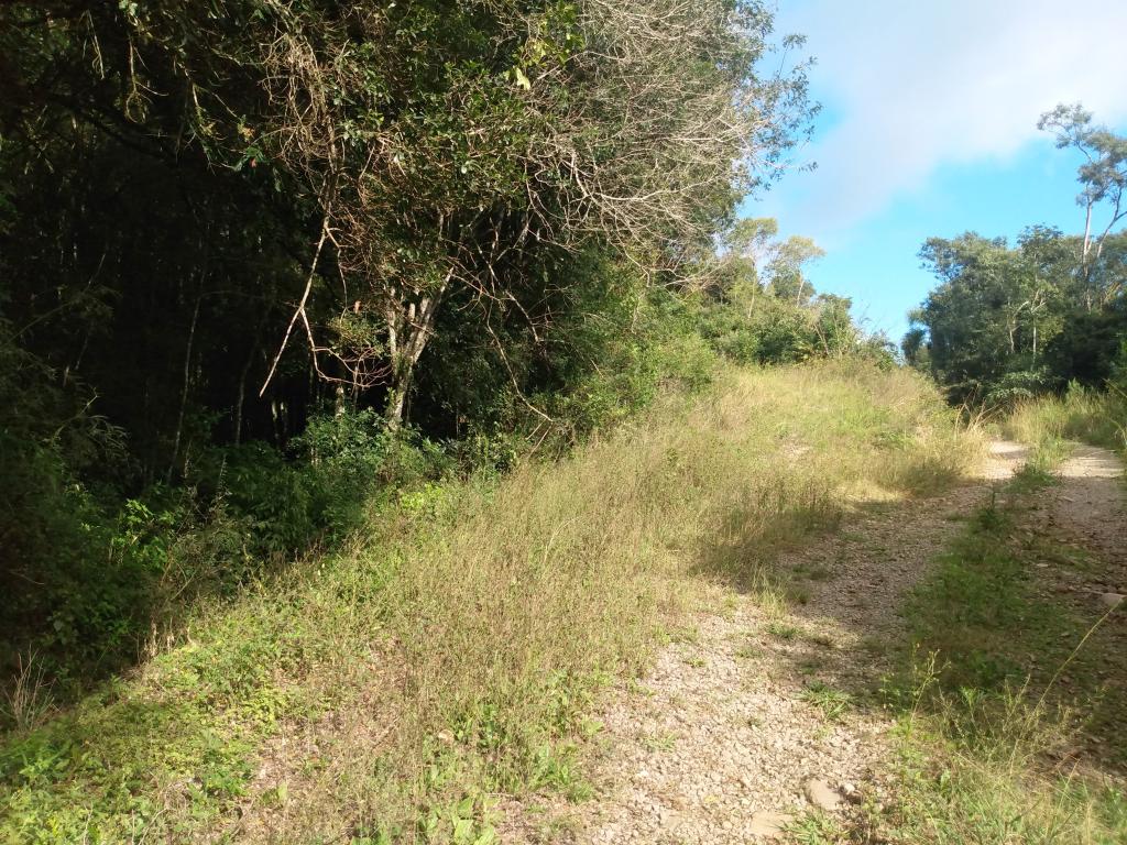 ÁREA DE TERRAS - ART1211923