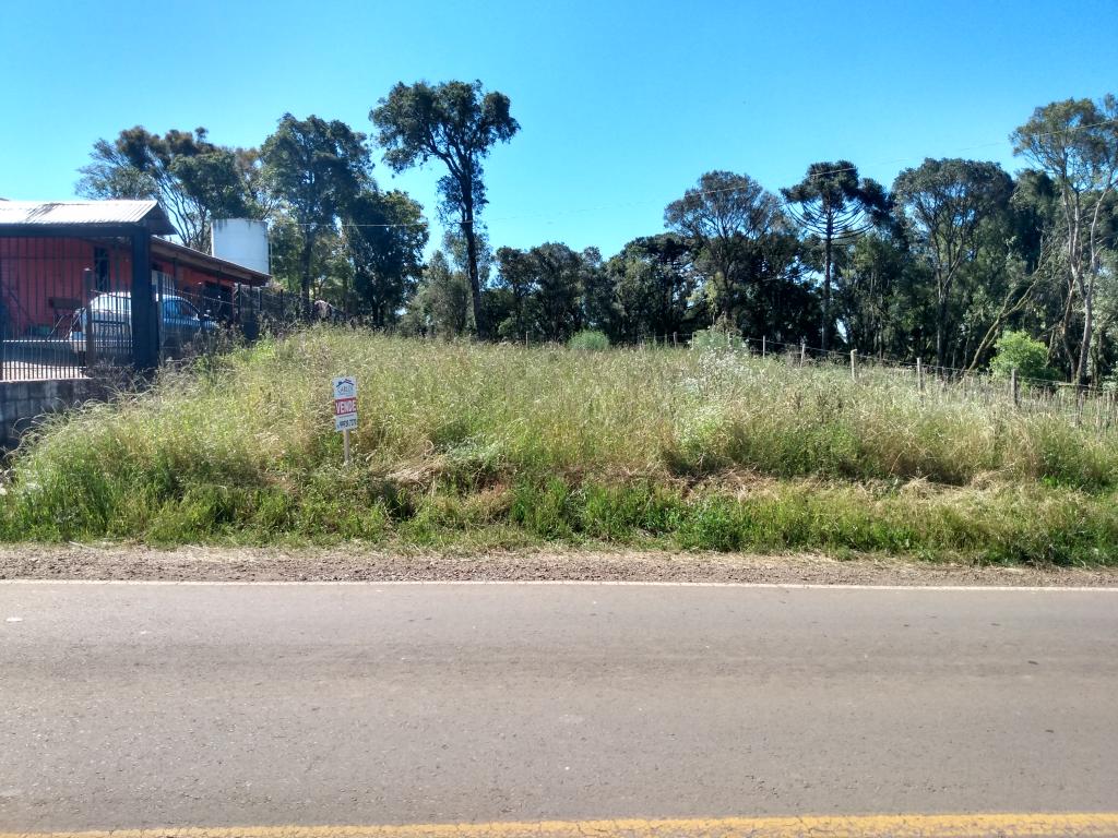 TERRENO - TER1211935