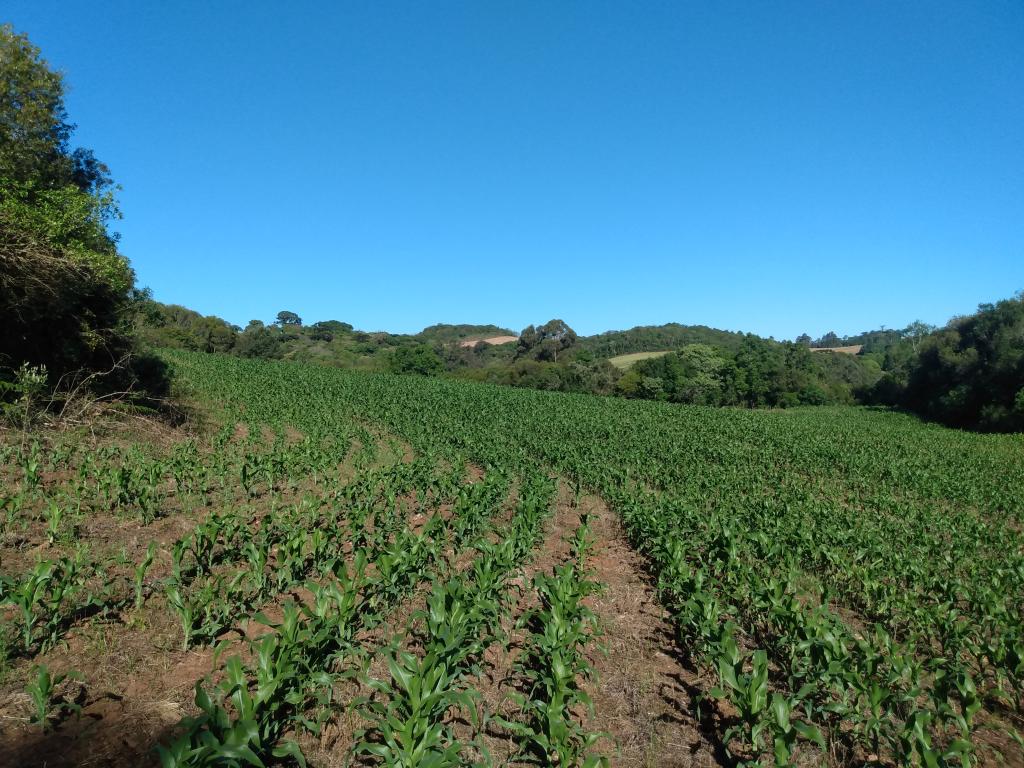 ÁREA DE TERRAS - ART1209725