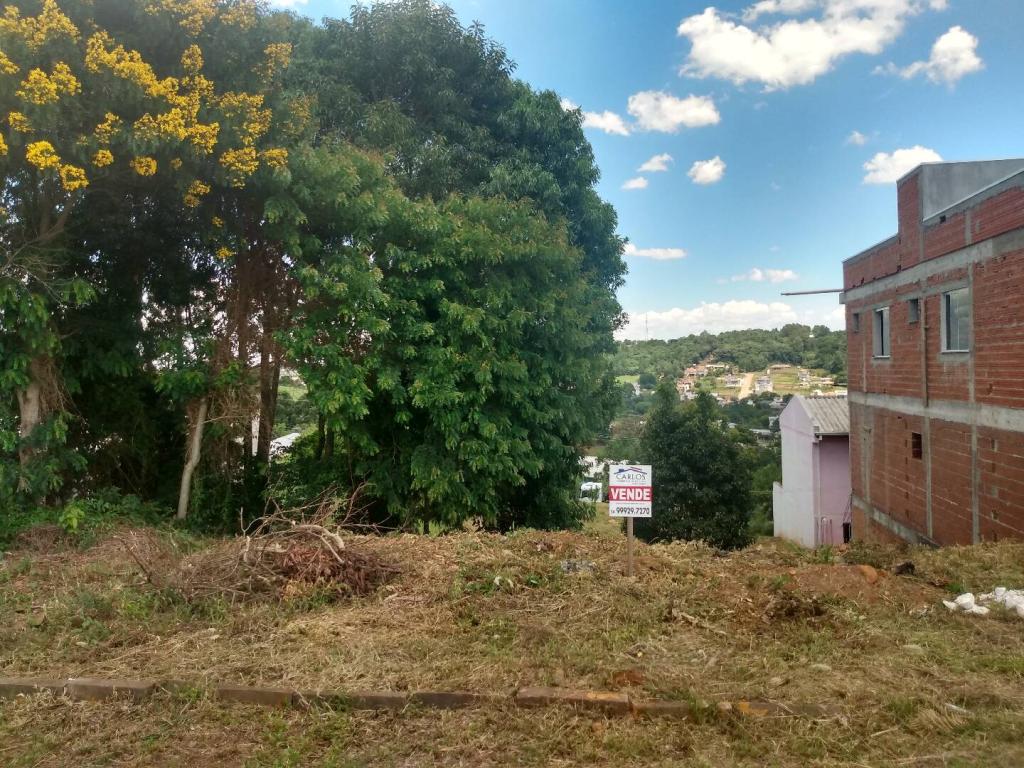 TERRENO - TER1209751