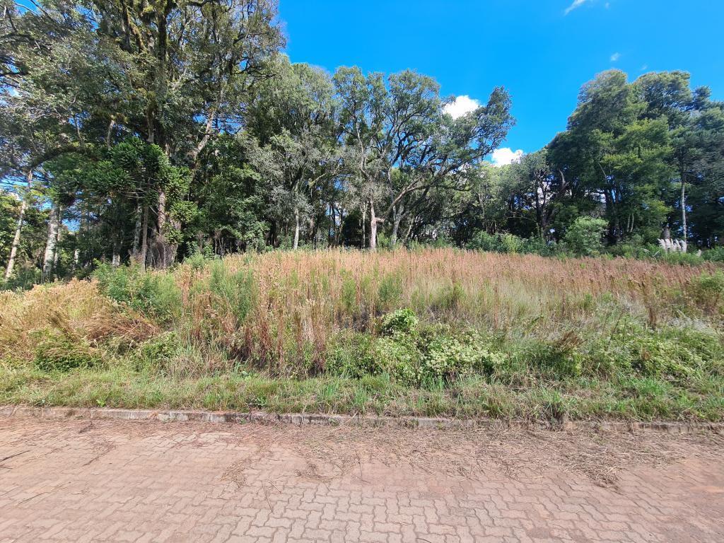 TERRENO - TER1211971