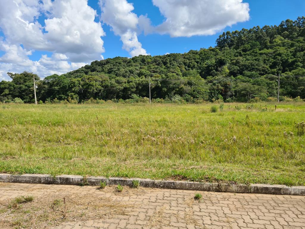 TERRENO - TER1211988