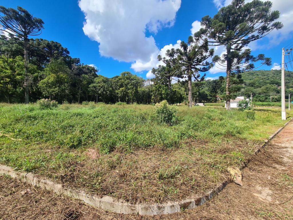 TERRENO - TER1211980