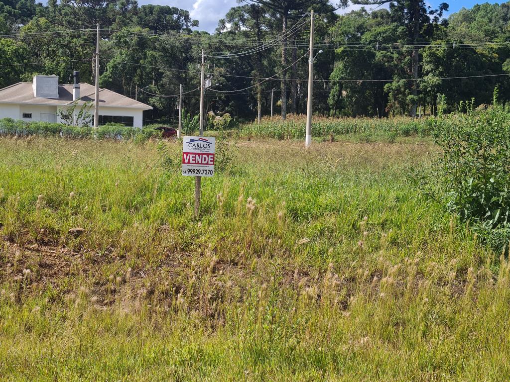 TERRENO - TER1211989