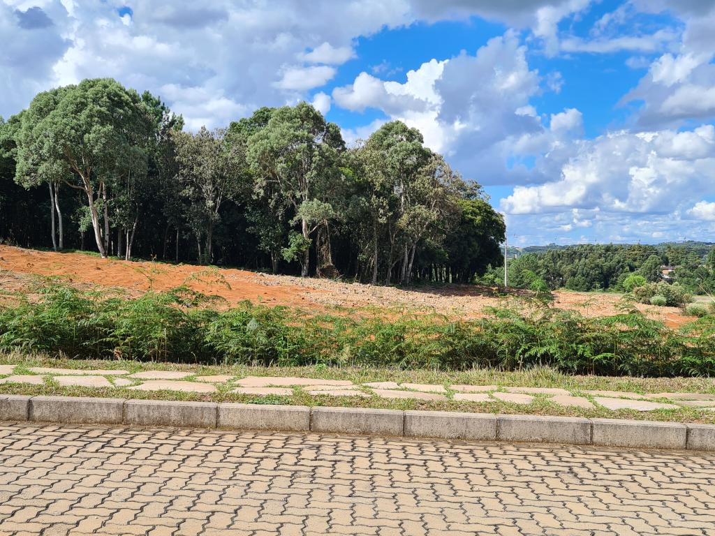 TERRENO EM CONDOMÍNIO - TEC1211958