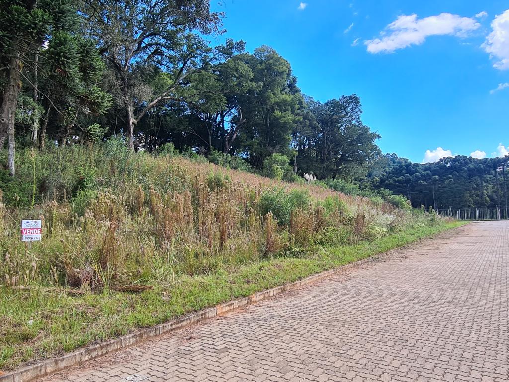 TERRENO - TER1211972