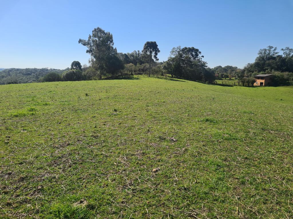 ÁREA DE TERRAS - ART1242670