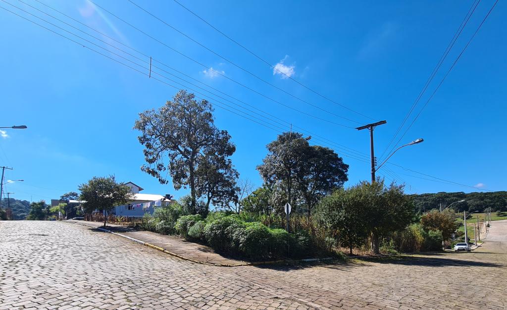 TERRENO - TER1214806