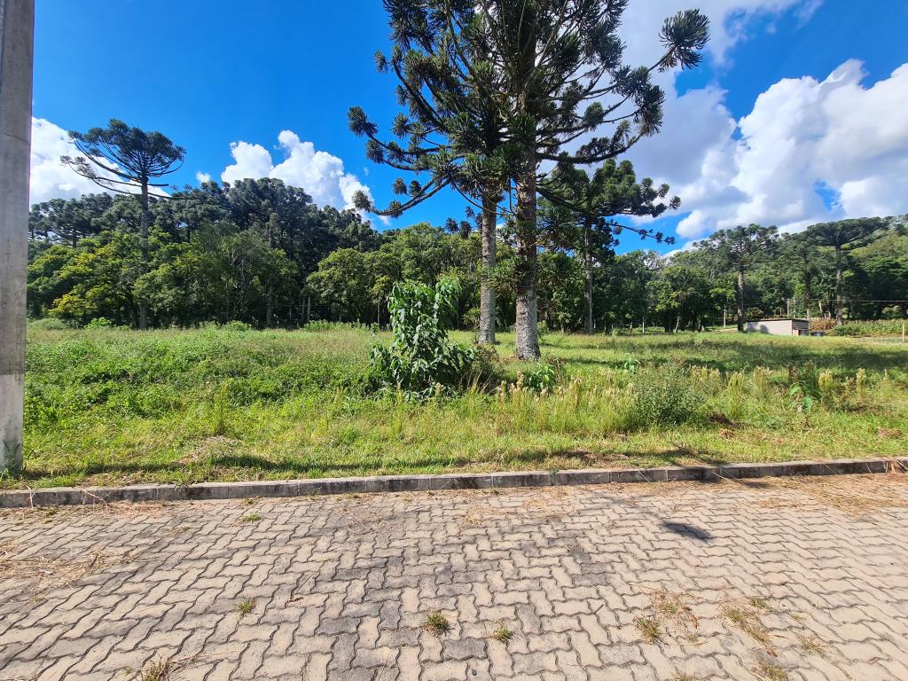 TERRENO - TER1211979