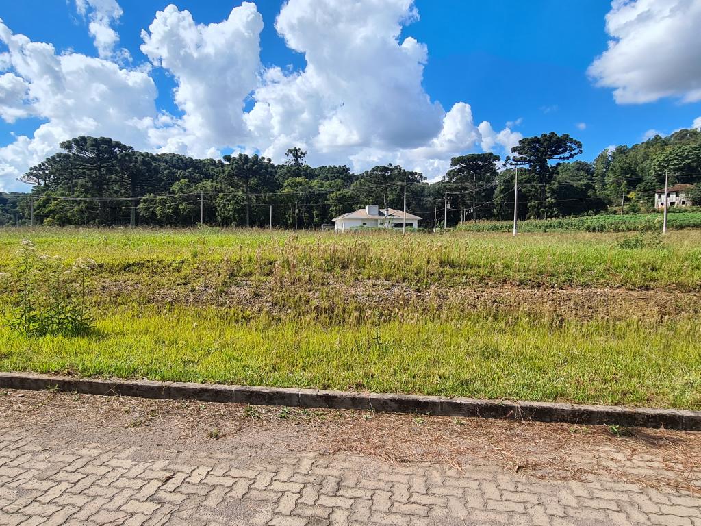 TERRENO - TER1211990