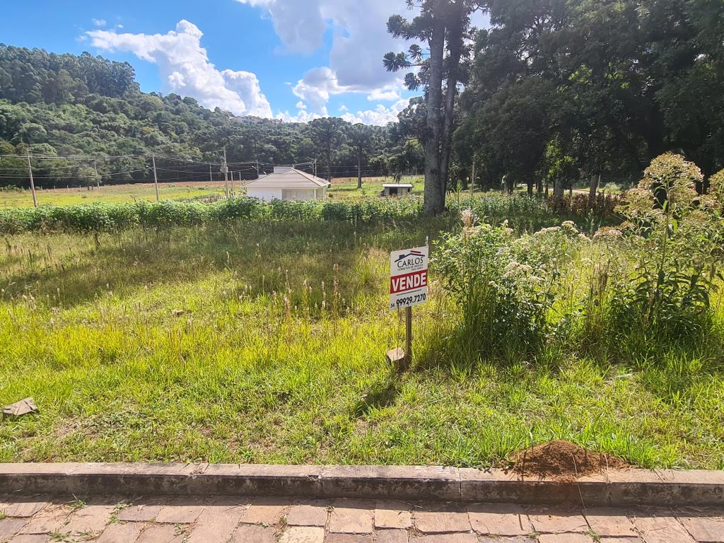 TERRENO - TER1211982